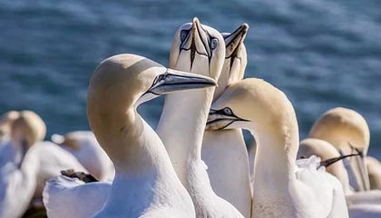 2026年政府工作报告要点一览，券商首席把脉2026年A股投资方向